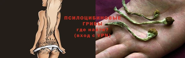 ECSTASY Абдулино