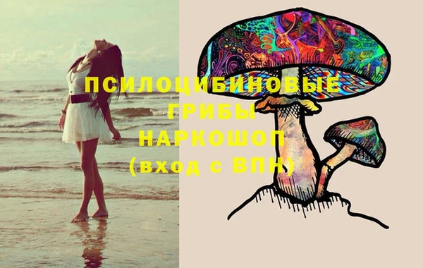 спайс Абинск