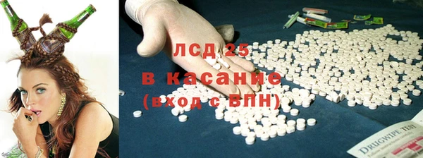 ПСИЛОЦИБИНОВЫЕ ГРИБЫ Абаза