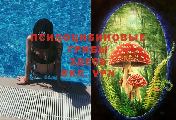 спайс Абинск