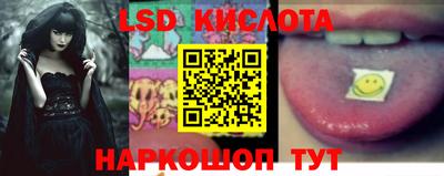гидра Тверь