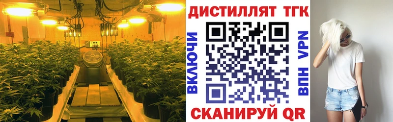 ссылка на мегу   Отрадный  ТГК концентрат 