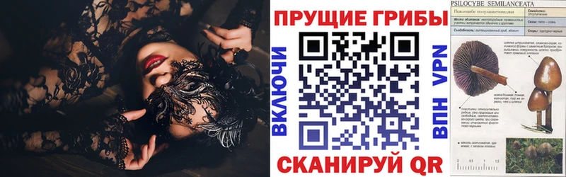 Галлюциногенные грибы ЛСД  наркошоп  Отрадный 