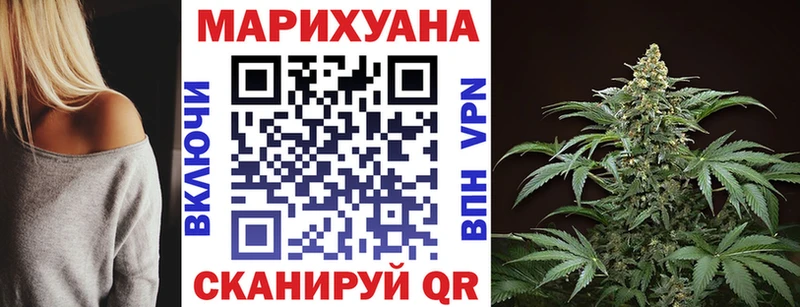 Конопля гибрид  Отрадный 